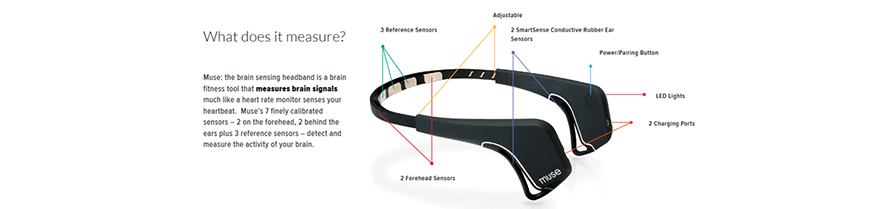 brain_signals_895