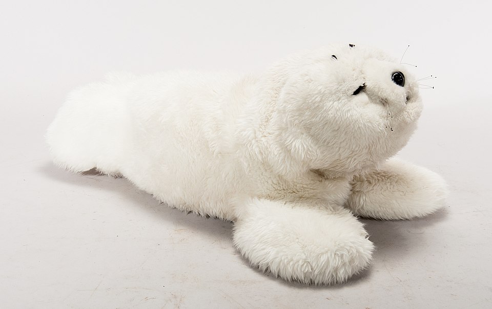 Exemple de robot thérapeutique