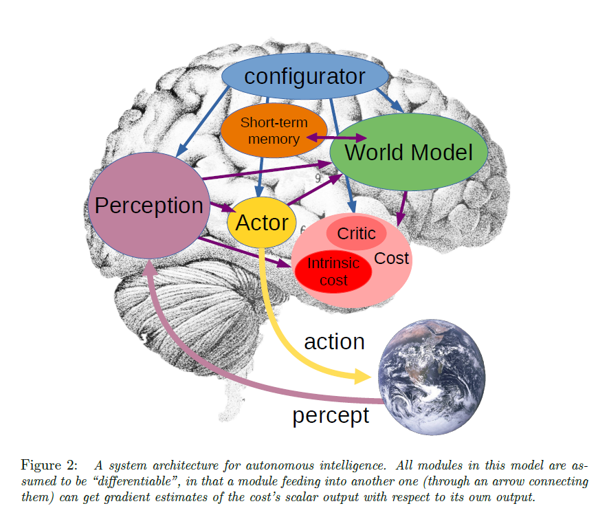 représentation de l'architecture du world model selon Yann Le Cun sous forme d'un cerveau humain